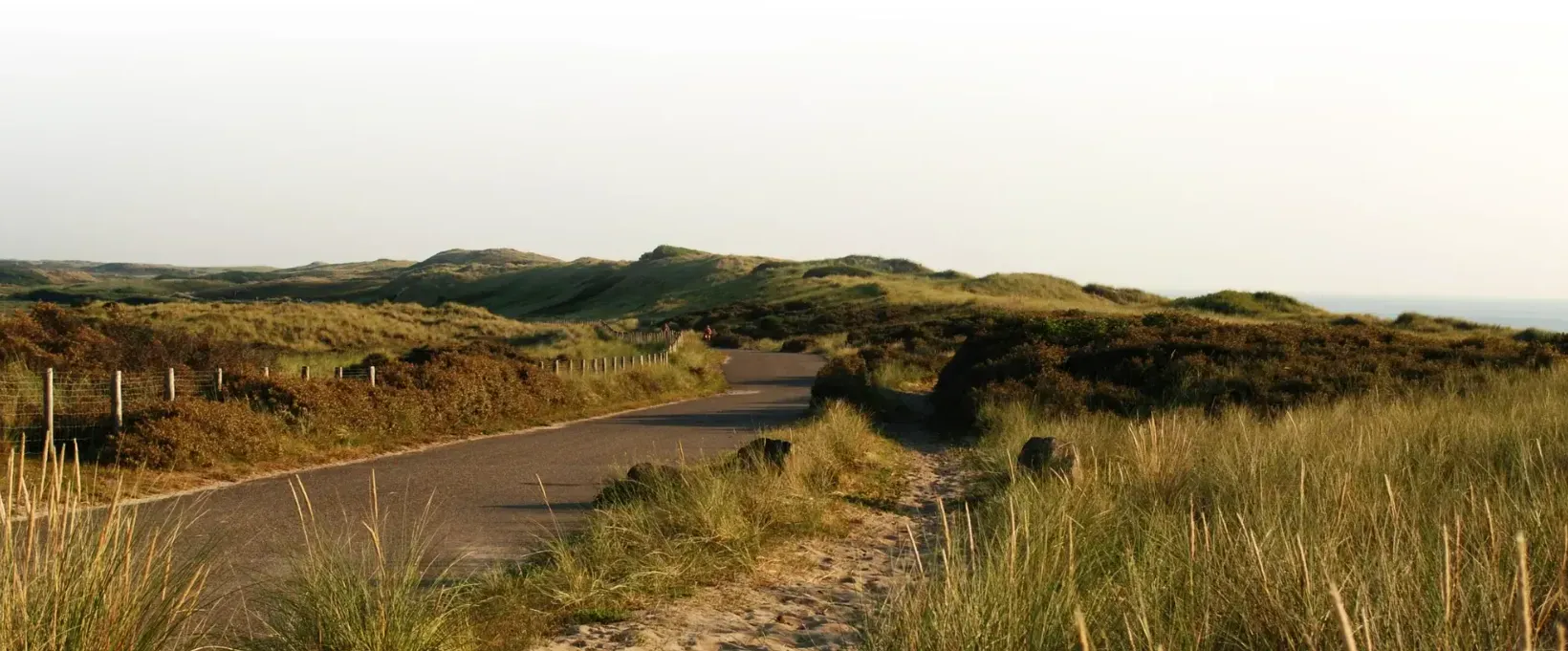 Overnacht achtergrond